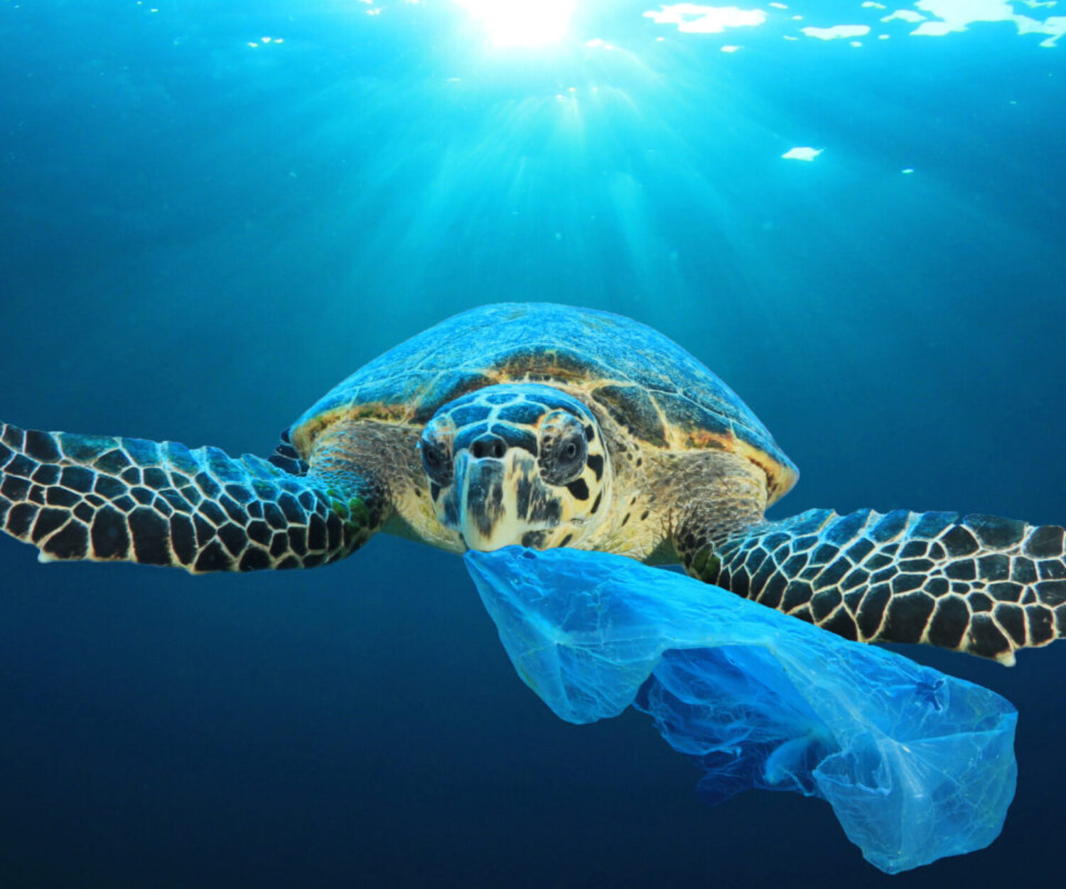 Marketing Etico per gli obiettivi di Agenda 2030 ESG