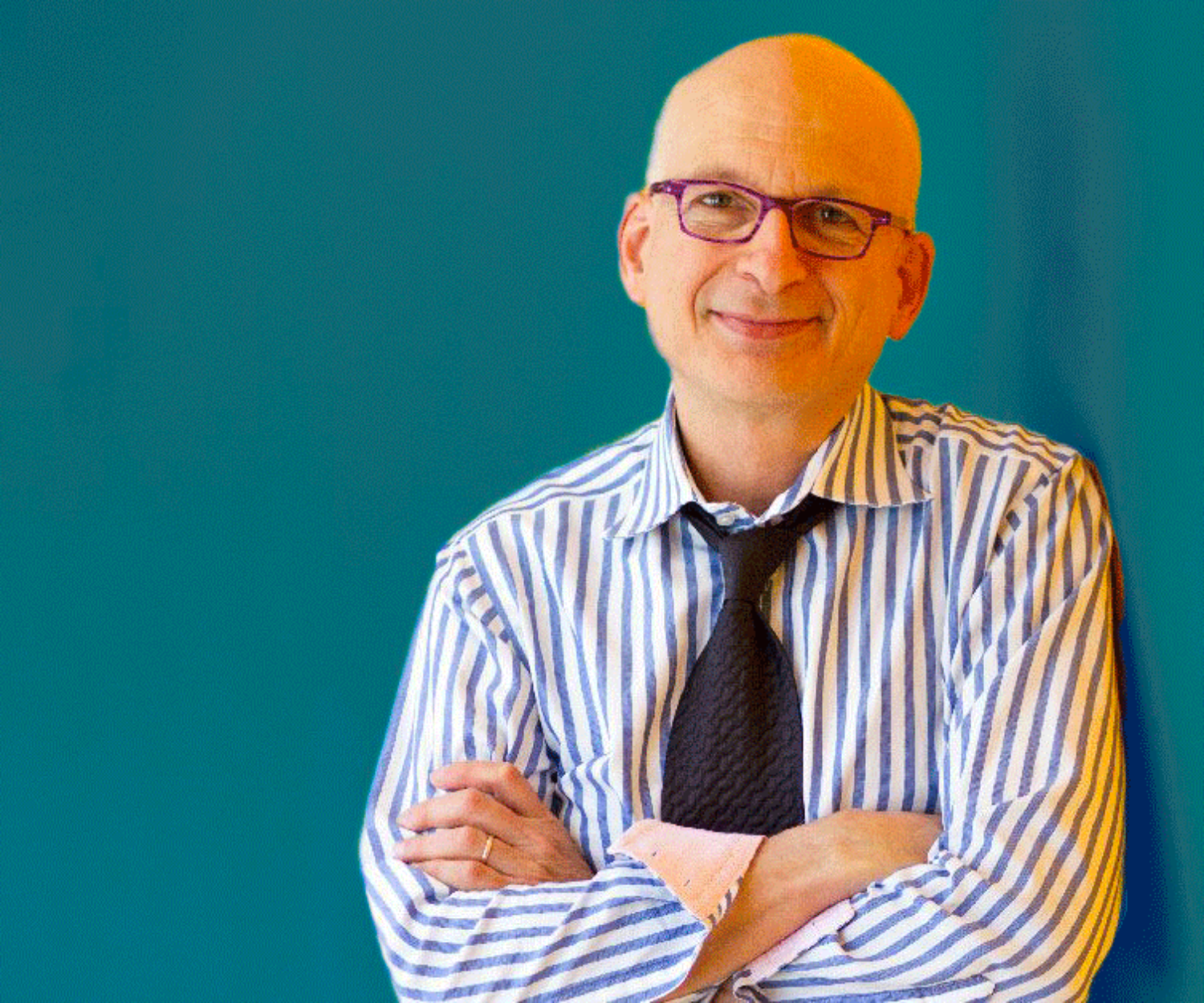 libri di Marketing Seth Godin Il Vicolo Cieco