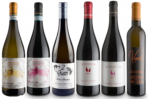 etichette azienda vinicola