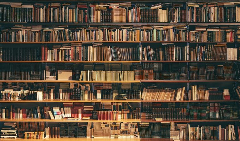 Scaffali di una biblioteca, formazione continua