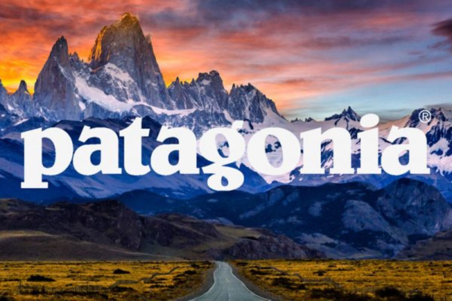 Patagonia Branding CSR esempio Brand Equity Brand Identity