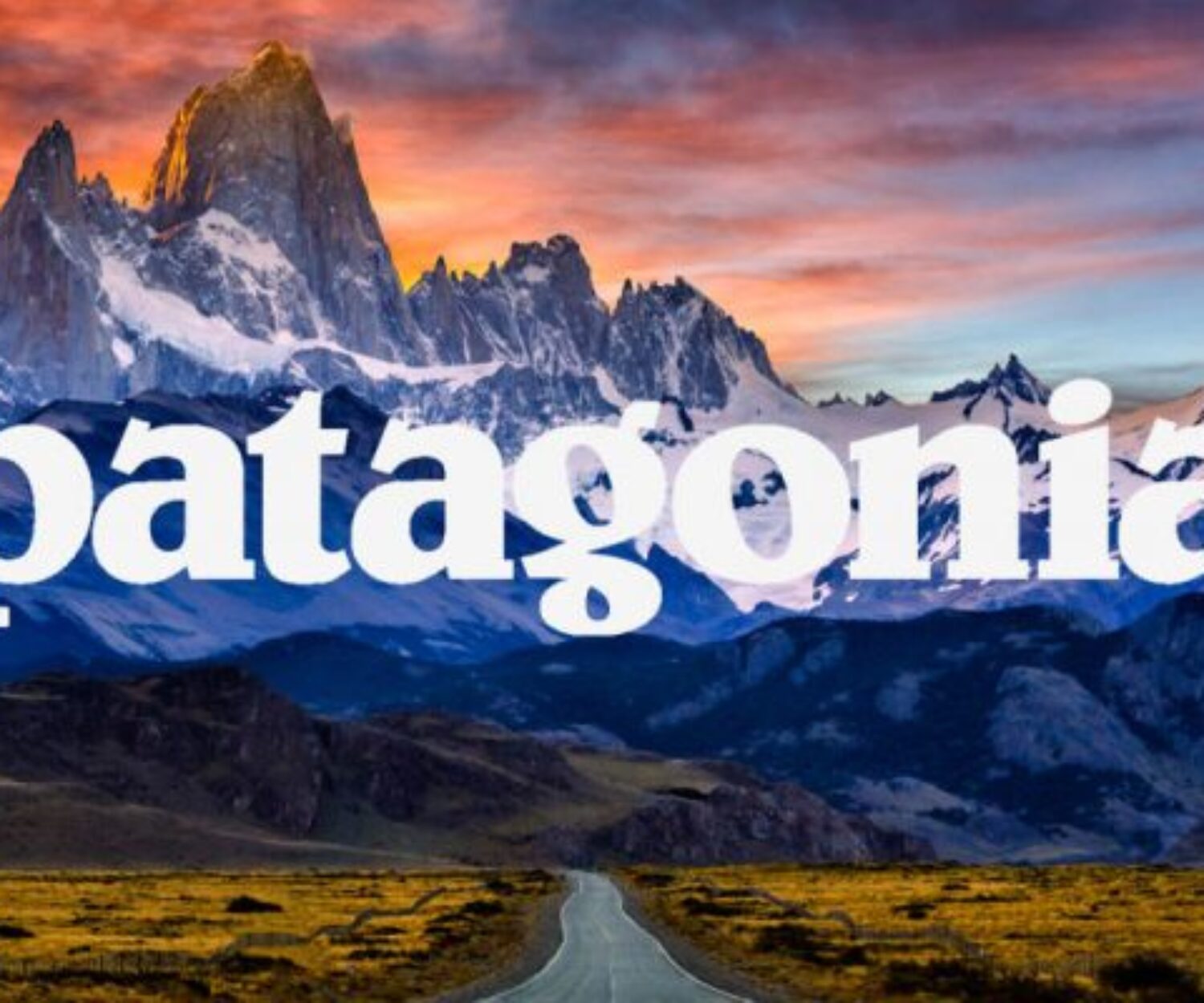 Patagonia Branding CSR esempio Brand Equity Brand Identity