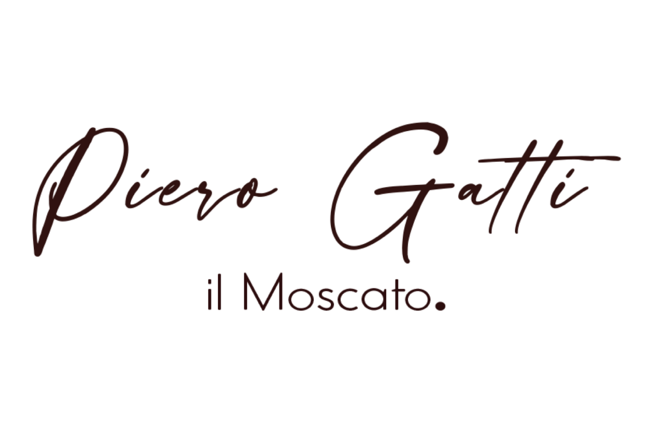 Brand identity e grafica – Magma Marketing Torino e Alba